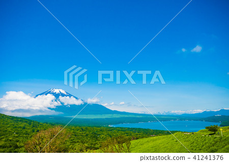 Fuji and Yamanakako Fuji and Yamanakako 41241376