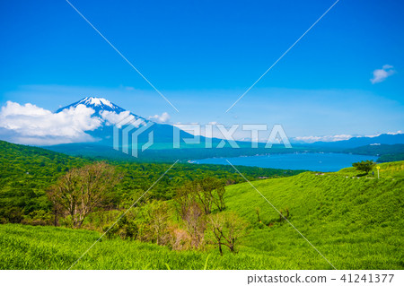 Fuji and Yamanakako Fuji and Yamanakako 41241377