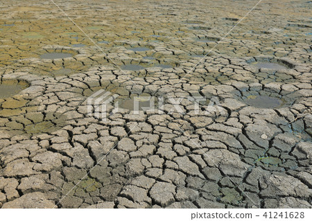 an Abstract natural texture cracked earth. hk 41241628