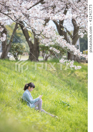 櫻花和女孩 櫻花和女孩 41241775