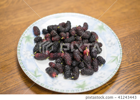 The harvested mulberry has a deep sweet and sour taste The harvested mulberry has a deep sweet and sour taste 41243443
