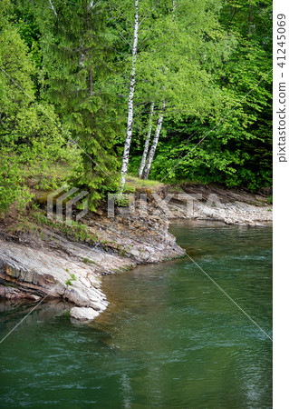 Mountain forest river landscape Mountain forest river landscape 41245069