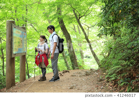Hiking couple Hiking couple 41246017