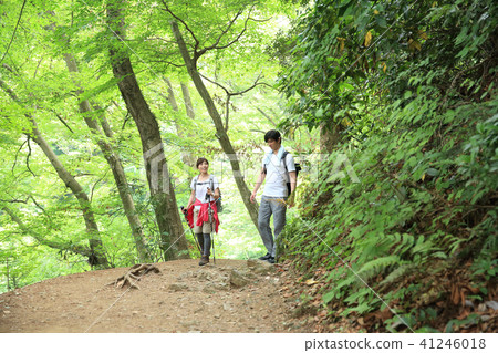 Hiking couple Hiking couple 41246018