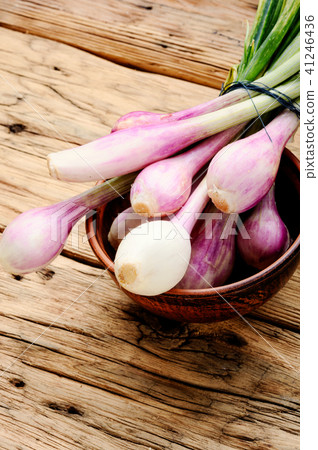 Fresh onion bulbs 41246436