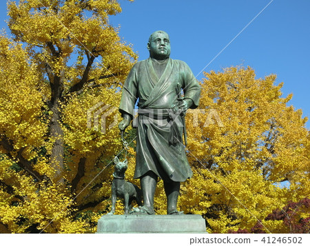 上野公園的銀色高森的身形被銀杏葉的黃色葉子著色 41246502