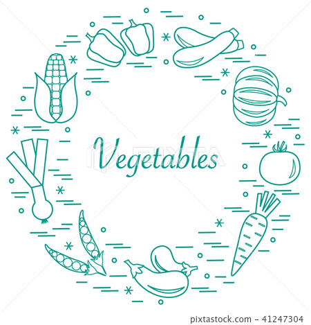 different autumn seasonal vegetables arranged in a different autumn seasonal vegetables arranged in a 41247304