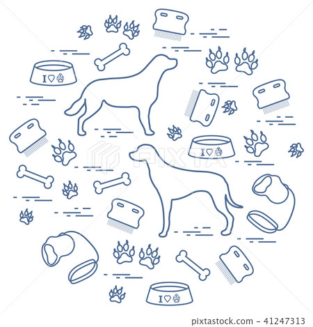 Cute vector illustration goods to care for dogs 41247313
