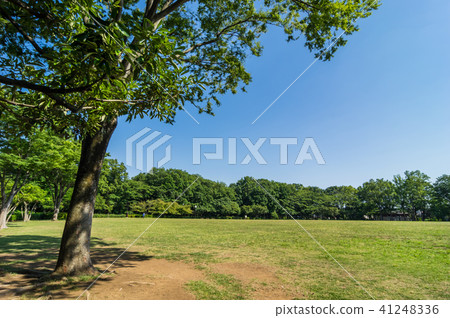 東村山中央公園的風景 東村山中央公園的風景 41248336