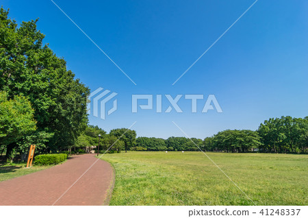 Scenery of Higashimurayama central park Scenery of Higashimurayama central park 41248337