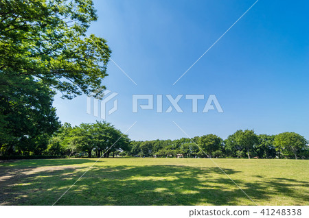 Scenery of Higashimurayama central park Scenery of Higashimurayama central park 41248338