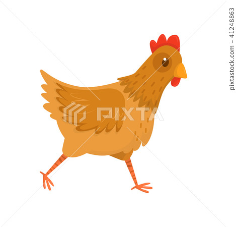 Flat vector icon of running hen. Chicken with brown feathers and red scallop. Farm bird. Domestic Flat vector icon of running hen. Chicken with brown feathers and red scallop. Farm bird. Domestic 41248863
