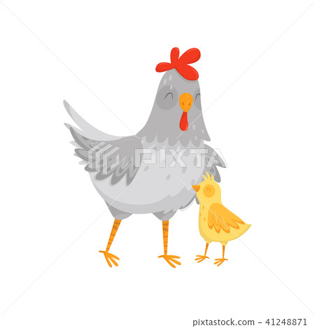 Flat vector icon of gray mother hen with her little yellow chick. Domestic bird. Element for poster Flat vector icon of gray mother hen with her little yellow chick. Domestic bird. Element for poster 41248871