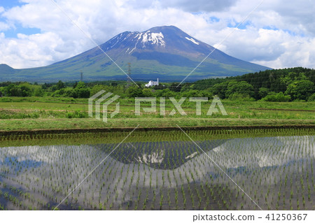 A season of fresh green Landscape with Iwate volcano A season of fresh green Landscape with Iwate volcano 41250367