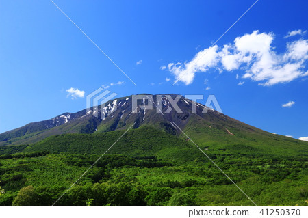 A season of fresh green Landscape with Iwate volcano 41250370