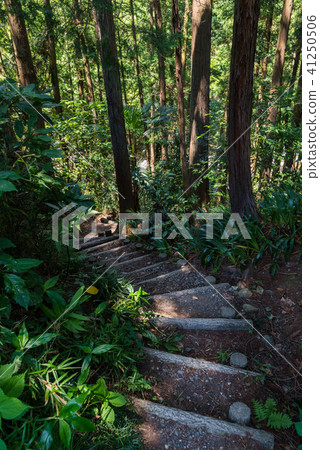 Stairs descending to Azuma gorge 41250506
