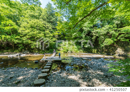 Doremifa Bridge at Azuma Gorges 41250507