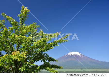 Refreshing early summer Fuji Refreshing early summer Fuji 41251225