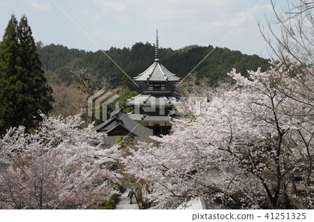 Yoshino Shomugu triple tower 41251325