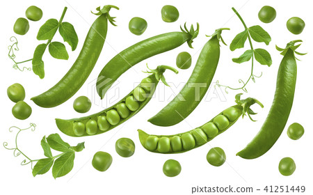 Green peas, pods and leaves set isolated Green peas, pods and leaves set isolated 41251449