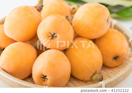 琵琶琵琶 41252122