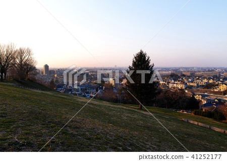 [Evening landscape / night scenic spots] Sakuragaoka Park Yuhi no Oka 41252177