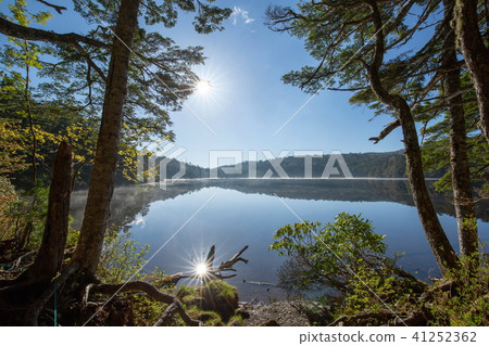 Shirakome的早晨 41252362