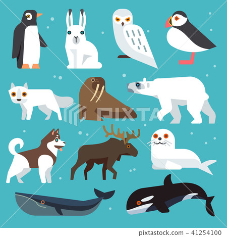 Polar animals flat icons Polar animals flat icons 41254100
