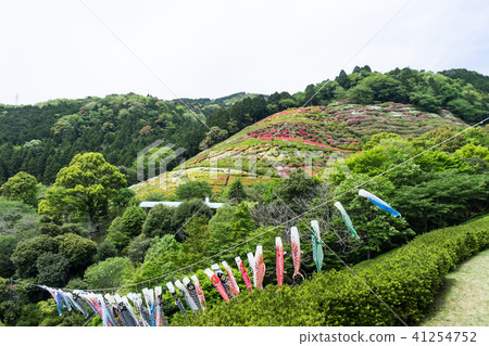 Hinenosawa公園的杜鵑花園 41254752