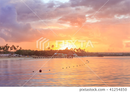 Vacation in Dominican Republic Vacation in Dominican Republic 41254850