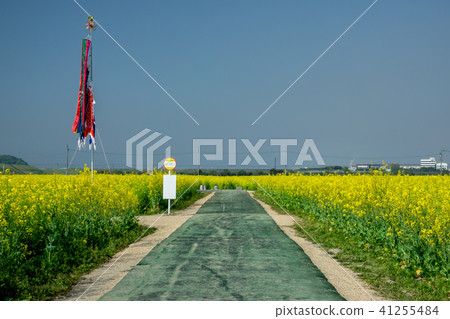 路站“Kasaoka灣農場”〜強姦花〜 路站“Kasaoka灣農場”〜強姦花〜 41255484