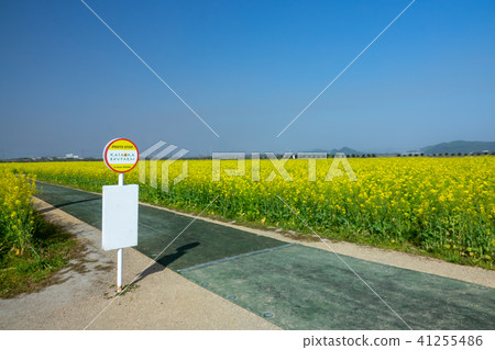 路站“Kasaoka灣農場”〜強姦花〜 路站“Kasaoka灣農場”〜強姦花〜 41255486