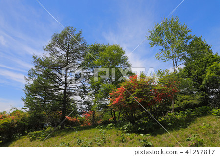 Mikubo Plateau 41257817
