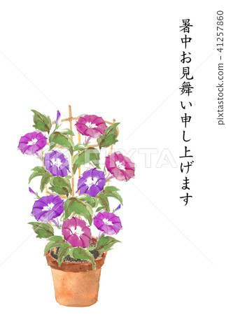 在炎熱的天氣的母親牽牛花瓦器 41257860