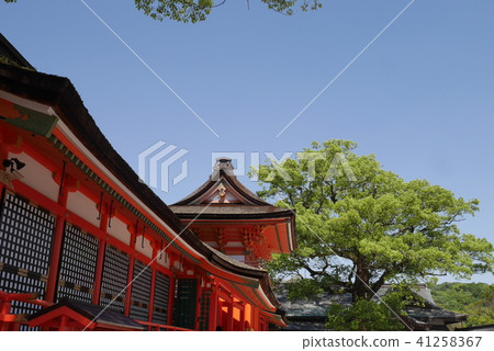 Usa Shrine 41258367