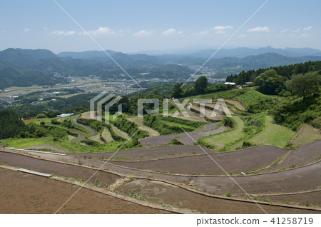 Rice terrace in Arita-cho, Saga prefecture 37 41258719