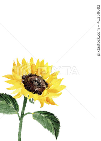 Hot summer postcards sunflower character none Hot summer postcards sunflower character none 41259082