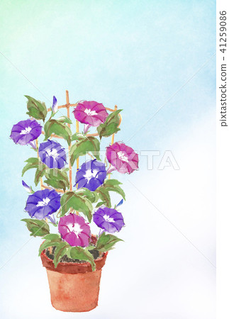 炎熱的夏天明信片陶器牽牛花字母沒有 41259086
