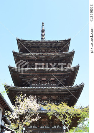 八坂(京都) 八坂(京都) 41259098