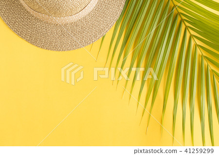 Flat lay photo coconut leaf on yellow background Flat lay photo coconut leaf on yellow background 41259299
