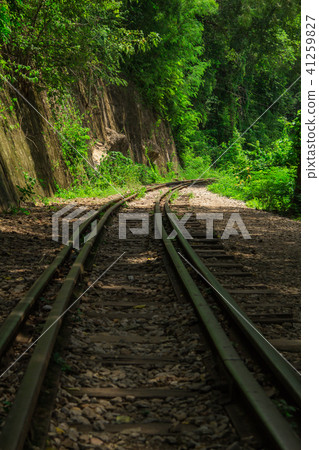 railway track in forest 41259827