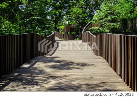 wonderful walkway in the park 41260028
