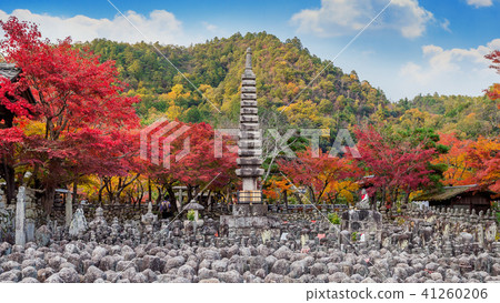 Adashinonenbutsuji temple in autumn, Japan. Adashinonenbutsuji temple in autumn, Japan. 41260206
