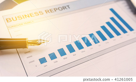 Business report statement for analysis and review 41261005