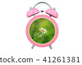 white cosmos flower within pink alarm clock 41261381