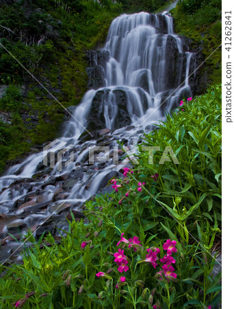 Forest waterfalls of the Columbia River Gorge 41262841