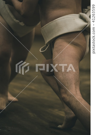 sumo, sumo wrestling, sumo wrestler's loincloth 41263599
