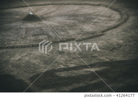 相撲賽場 相撲 相撲選手 41264177