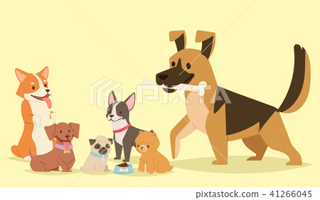 Puppy cute playing dogs characters funny purebred comic happy mammal doggy breed vector illustration Puppy cute playing dogs characters funny purebred comic happy mammal doggy breed vector illustration 41266045