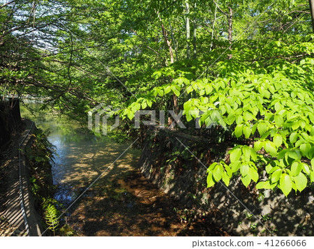 Musashi Kinen Park Musashi Kinen Park 41266066